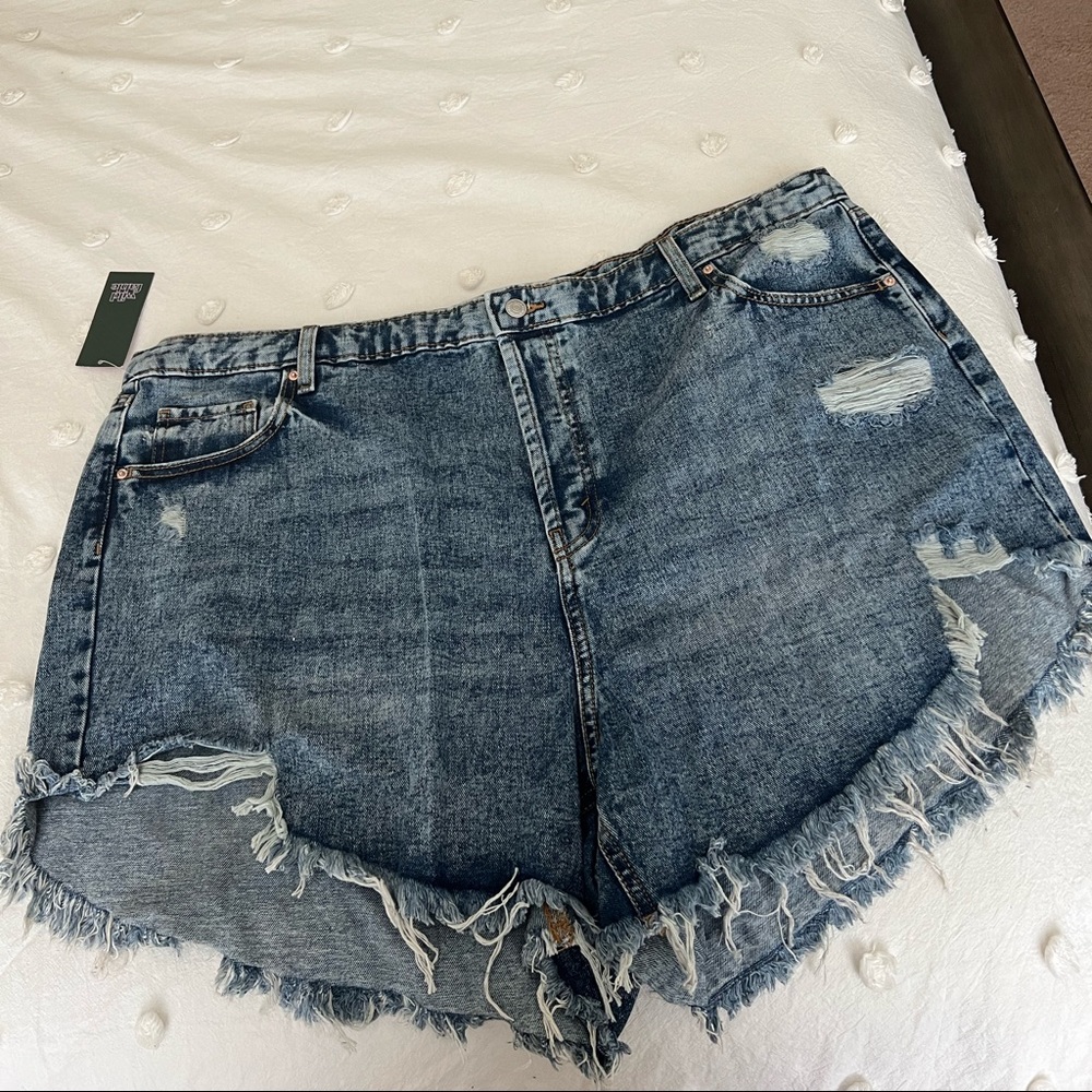 Lot of 3 NWT Plus Size Jean Shorts - 22W Sofia Vergara, Wild Fable